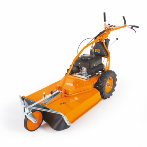 AS 65 2T ES