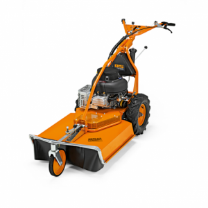 AS 65 4T B&S