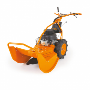 AS 65 Scout