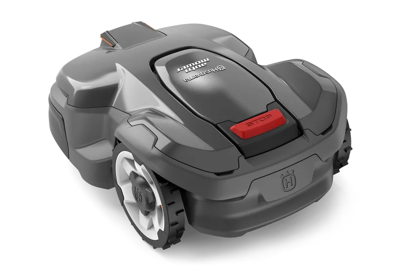 bp-255181